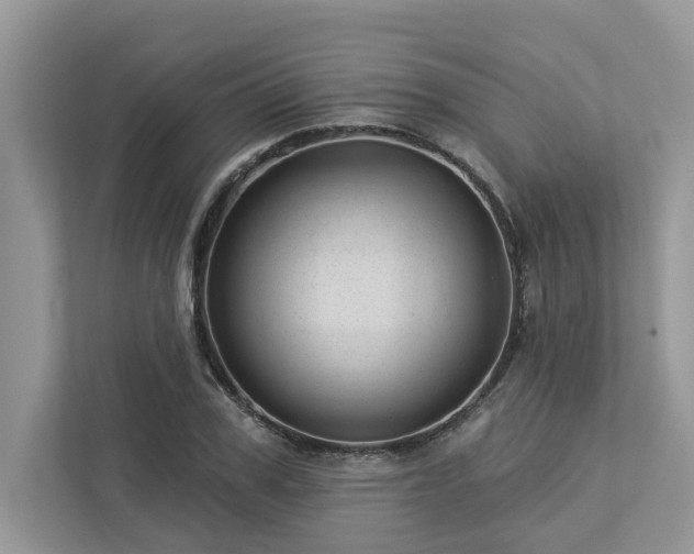 X0000112980979200908271140