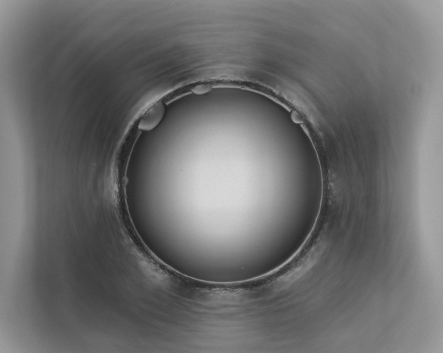 X0000112980981200908271140
