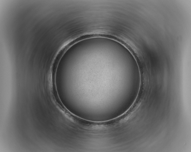 X0000112980982200908271140