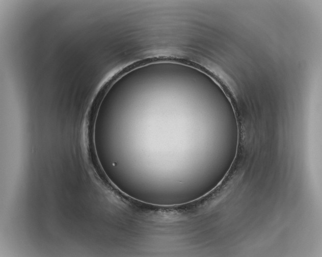 X0000112980983200908271140