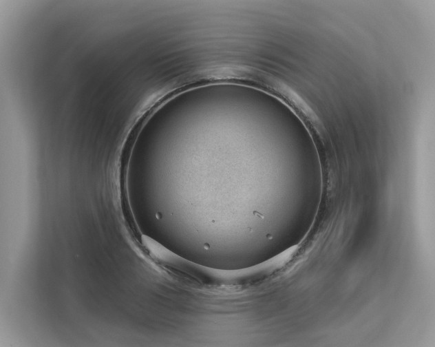 X0000112980986200908271139