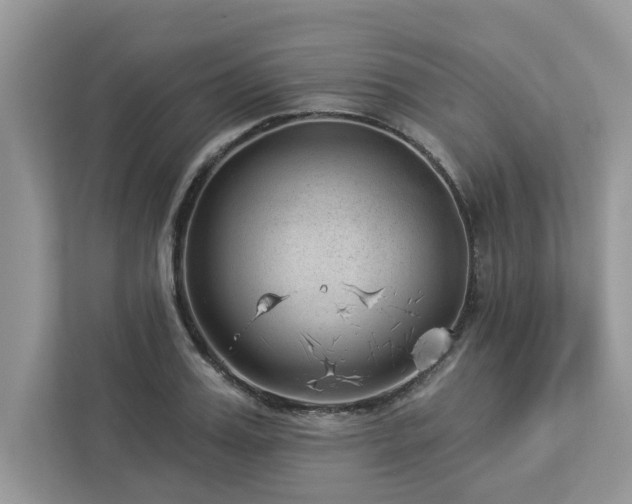 X0000112980987200908271139