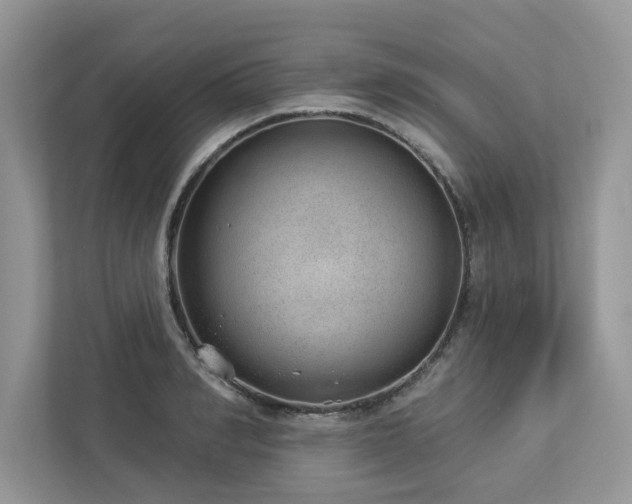 X0000112980990200908271139