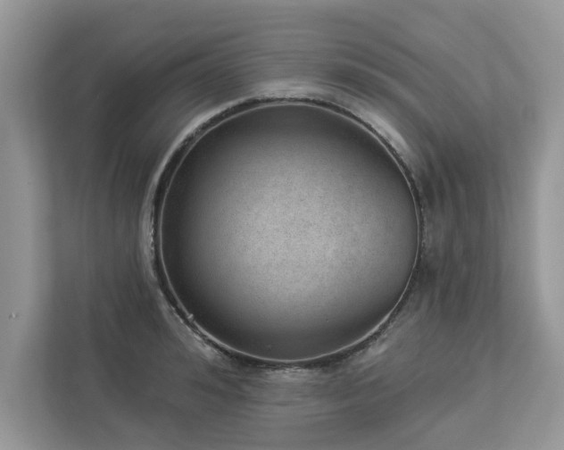 X0000112980992200908271139