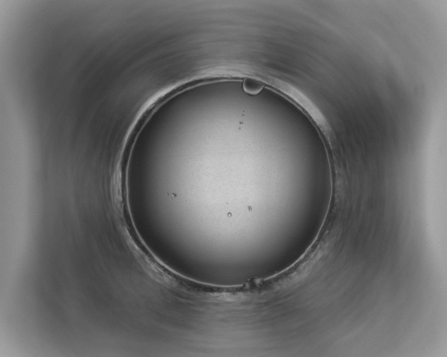X0000112980996200908271139
