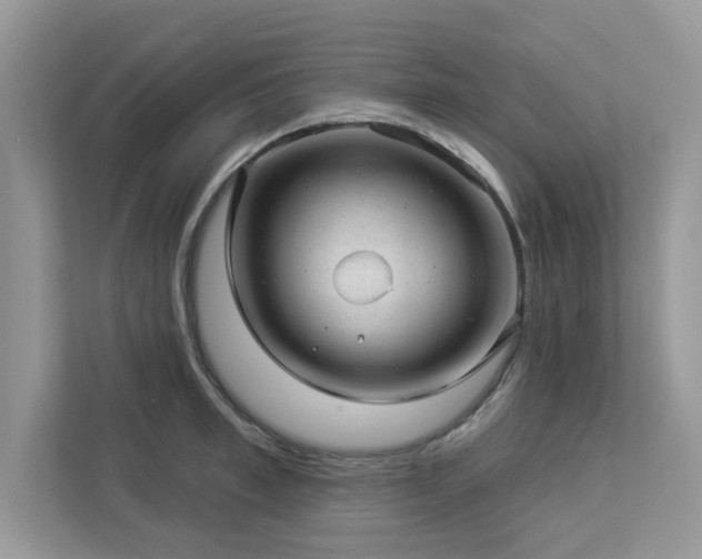 X0000112980997200908271139