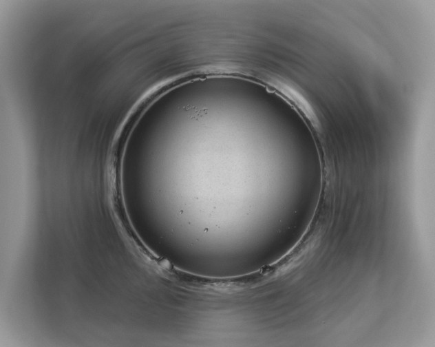 X0000112981000200908271139