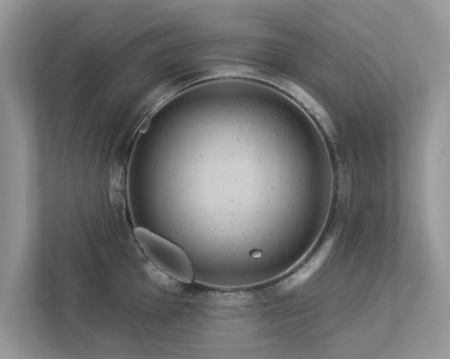 X0000112981001200908271139