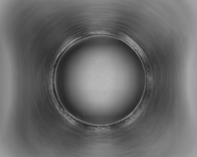 X0000112981002200908271139