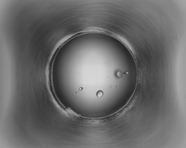 X0000112981003200908271139