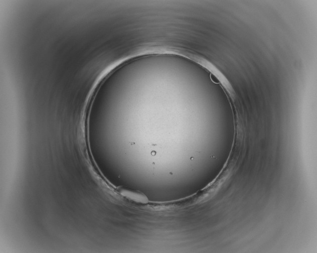 X0000112981004200908271139