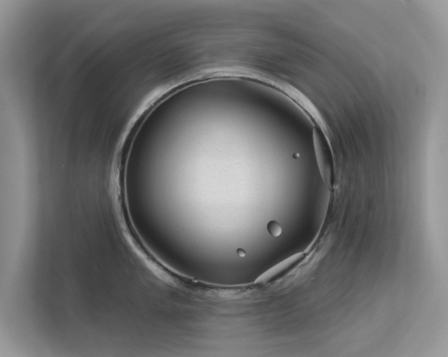 X0000112981005200908271139