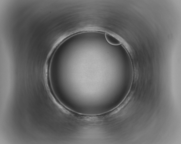 X0000112981006200908271139