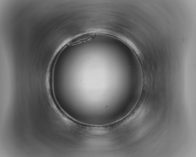 X0000112981007200908271139