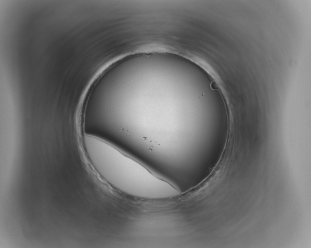 X0000112981008200908271139