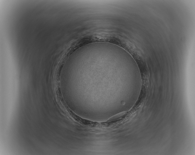 X0000112981009200908271139