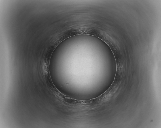 X0000112981010200908271139