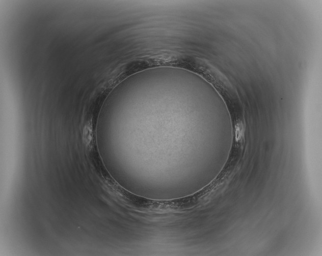 X0000112981011200908271139