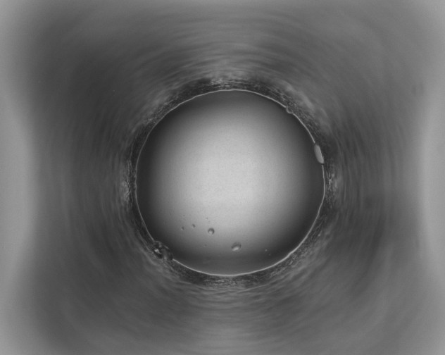 X0000112981012200908271139