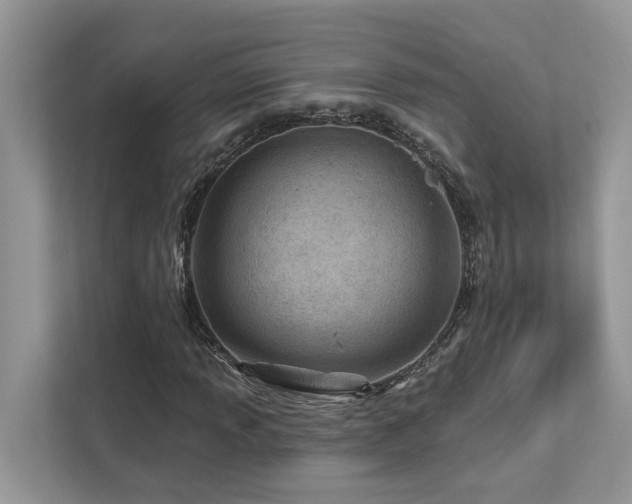 X0000112981013200908271139