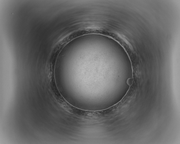 X0000112981015200908271139