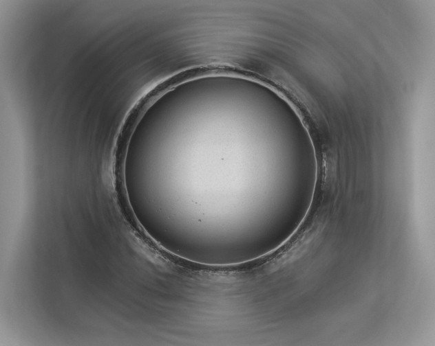 X0000112981020200908271139