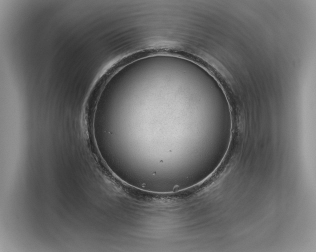 X0000112981022200908271139