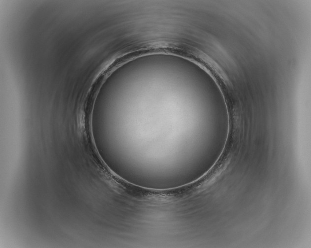 X0000112981023200908271139