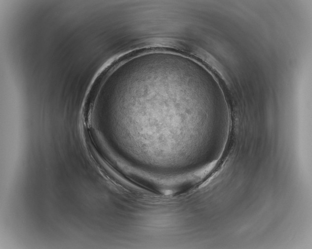 X0000112981024200908271139