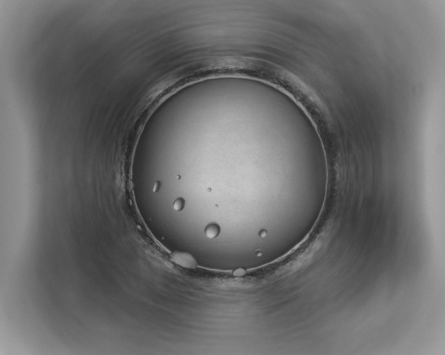 X0000112981025200908271139
