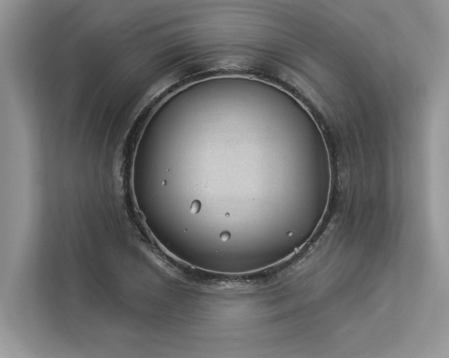 X0000112981026200908271139