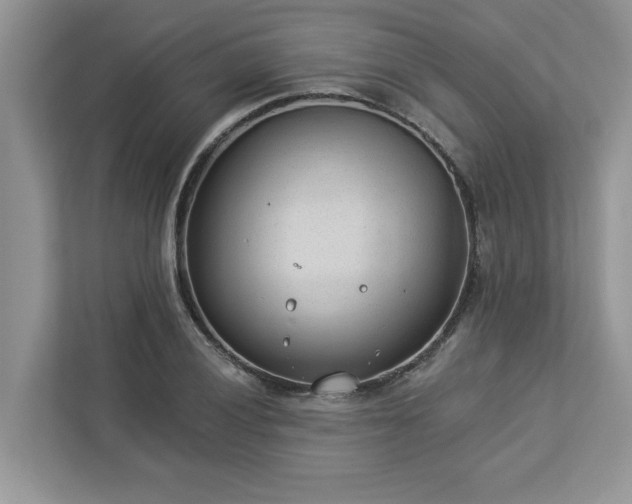 X0000112981028200908271139