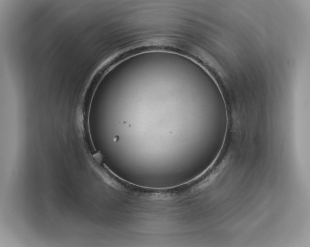 X0000112981029200908271139