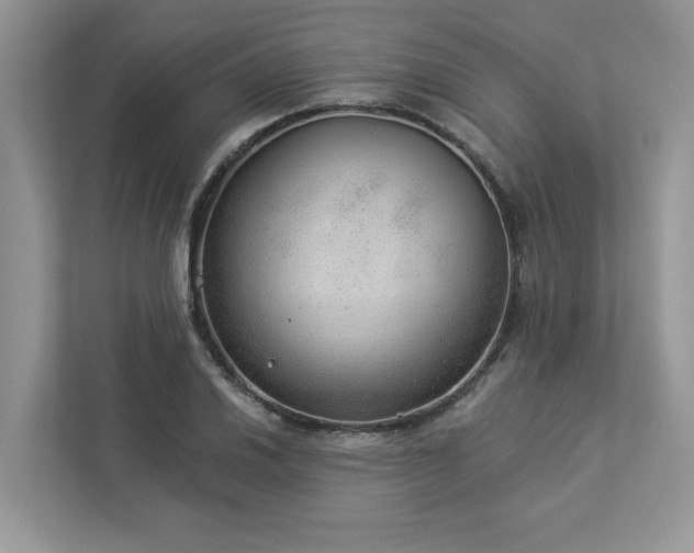 X0000112981030200908271139