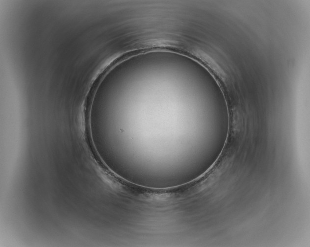 X0000112981031200908271139