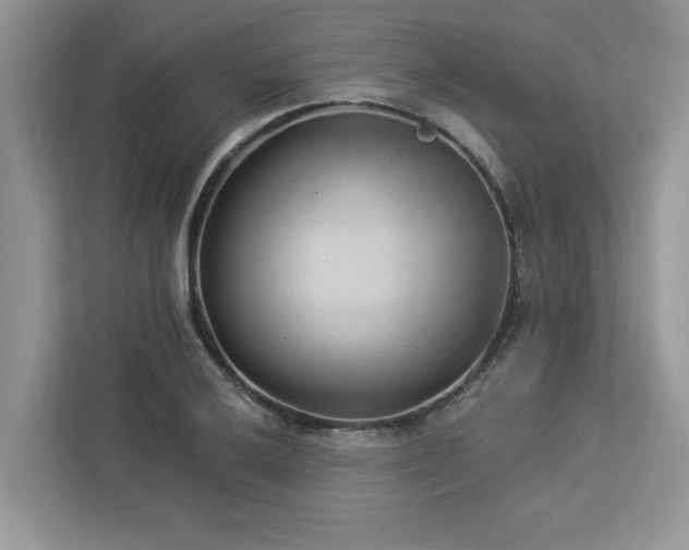 X0000112981032200908271139