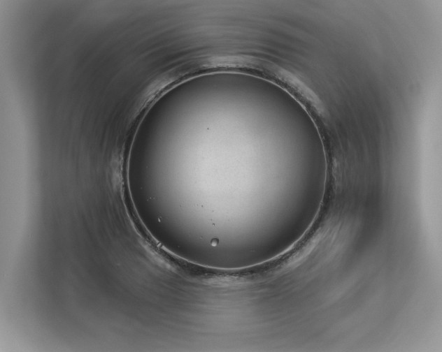 X0000112981033200908271139