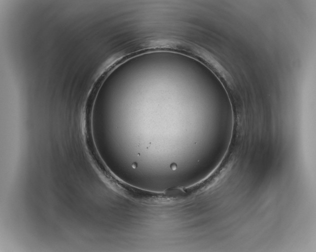X0000112981034200908271139