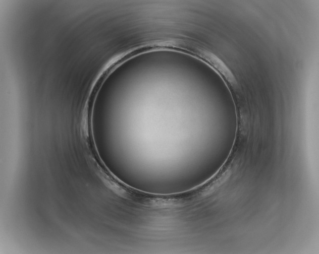 X0000112981036200908271139
