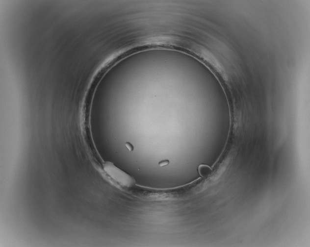 X0000112981037200908271139