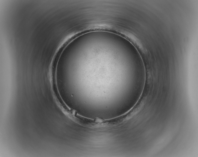 X0000112981038200908271139