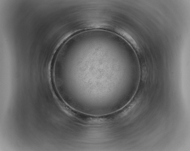 X0000112981039200908271139