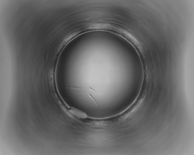 X0000112981041200908271139