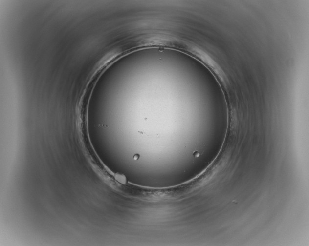 X0000112981042200908271139