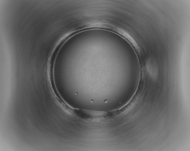 X0000112981043200908271139