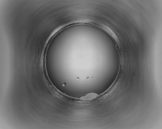 X0000112981044200908271139