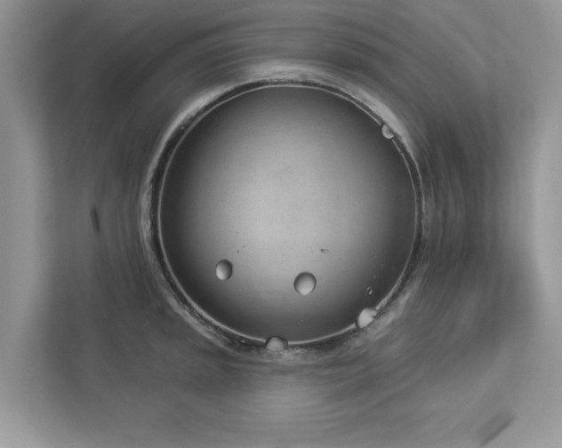 X0000112981045200908271139