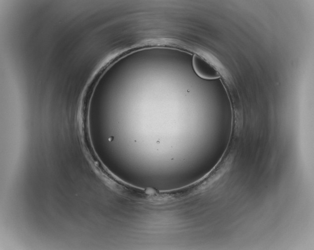 X0000112981046200908271139