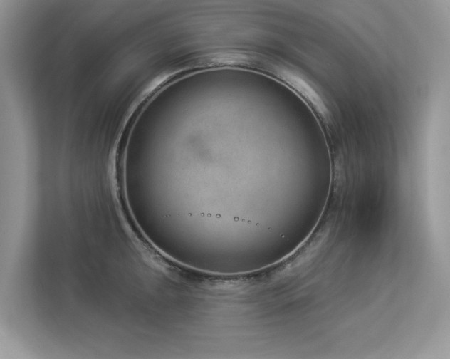 X0000112981047200908271139