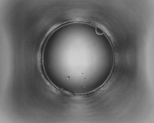 X0000112981048200908271139